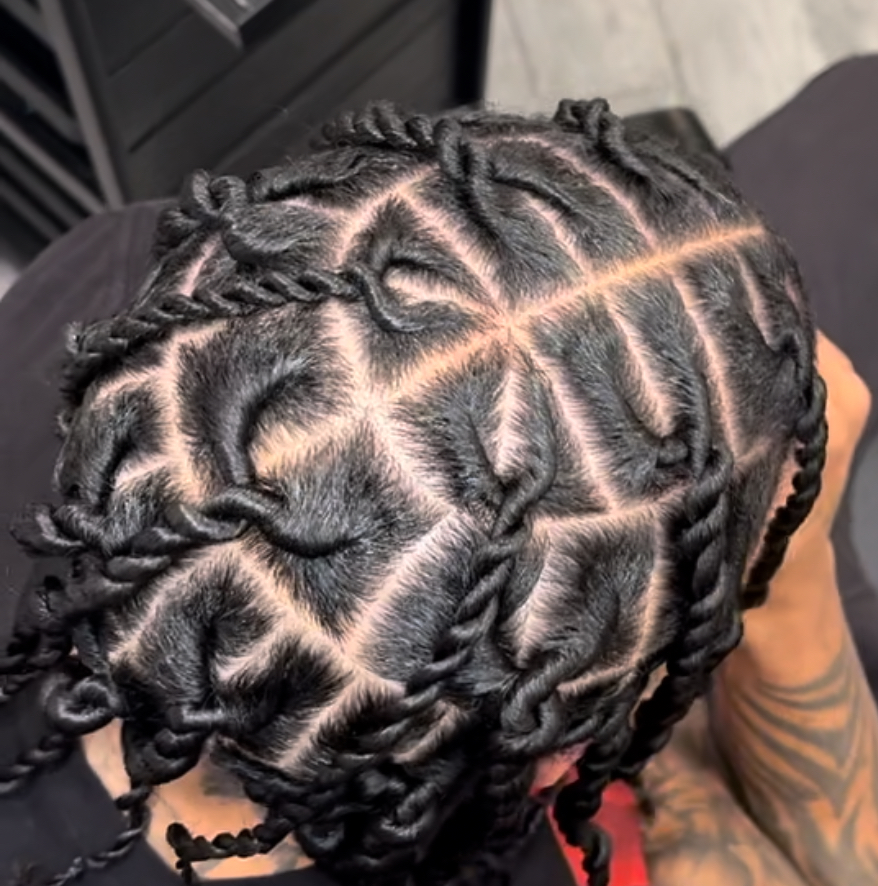 Two Strand Twists