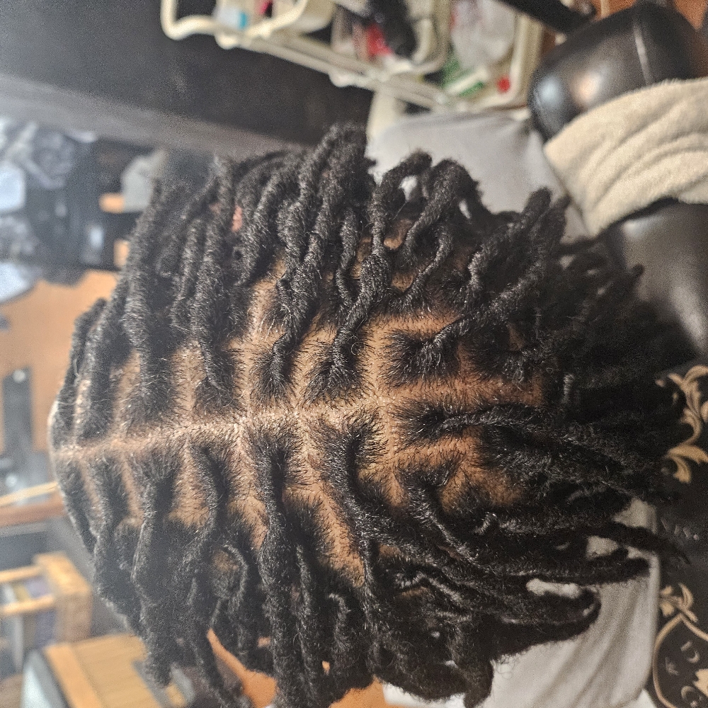 Starter Locs