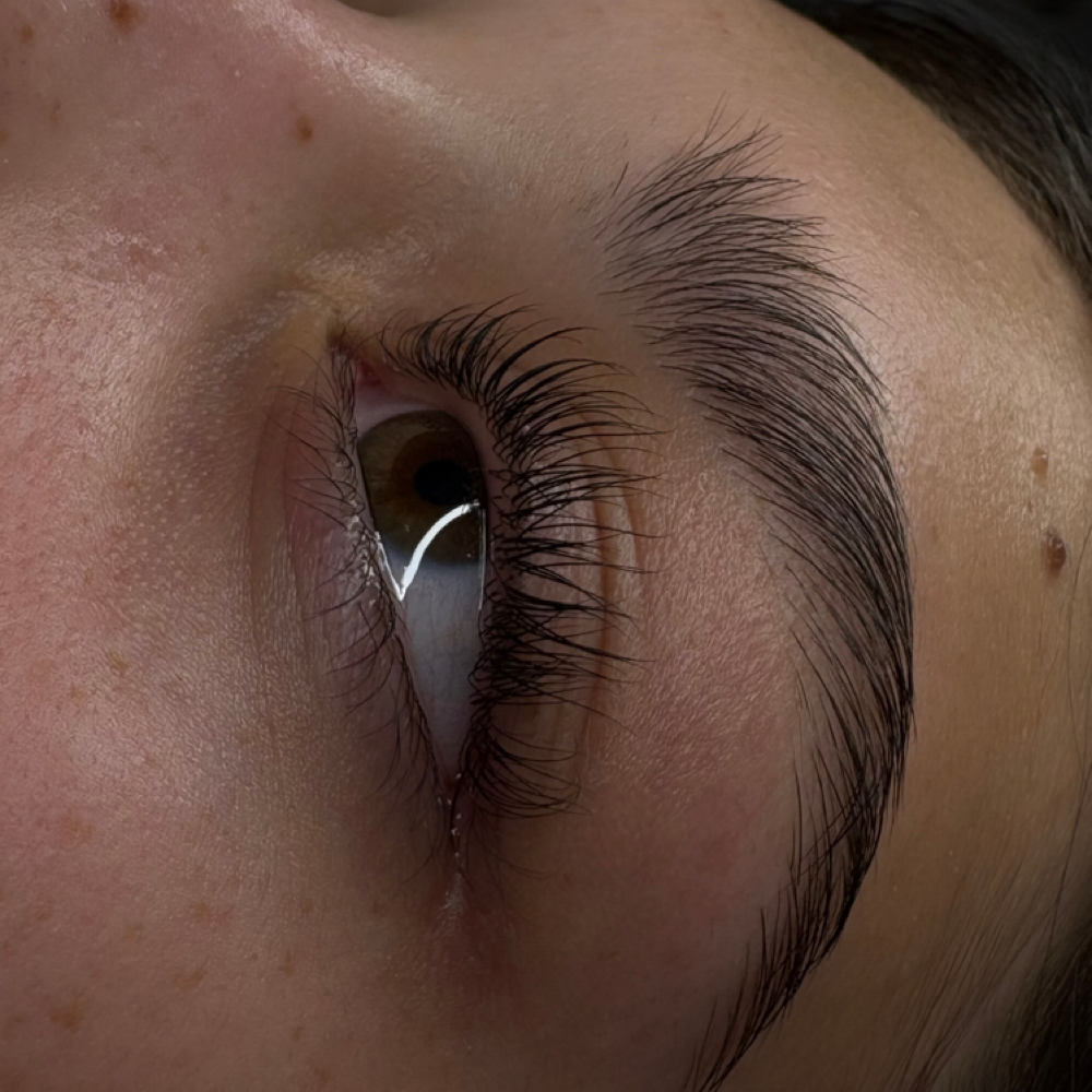 Lash Lift And Tint at Pretty As a Penny Beauty Spa in Marietta, GA