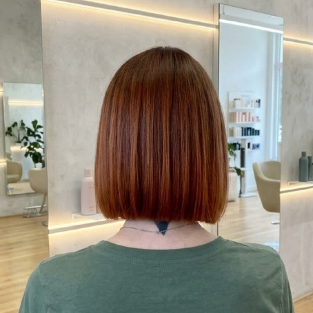 Womens Haircut No Shampoo/Style at Danii Daum in Decatur, IL