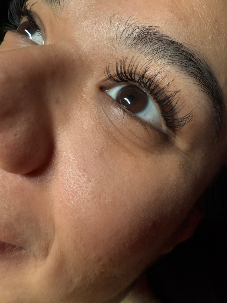 Classic Natural Lashes