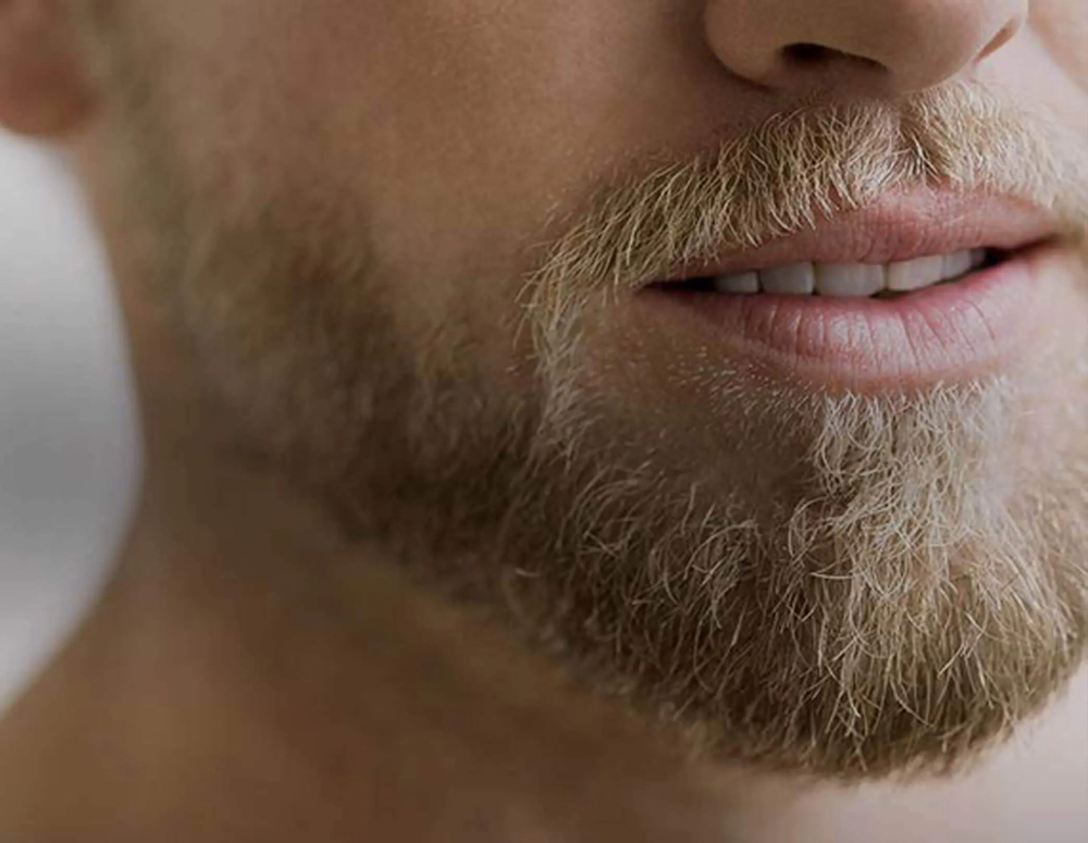 Beard Trim