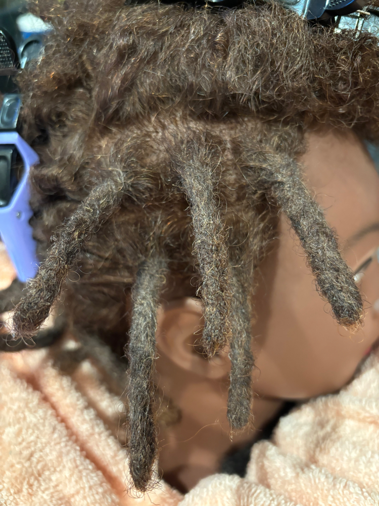 Starter Instant Crochet Loc