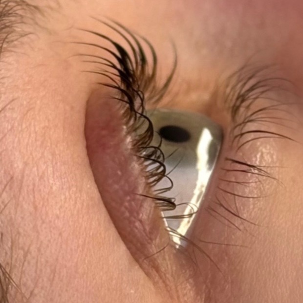 Lash + Brow Combo at Beauty Love Hope in Bend, OR