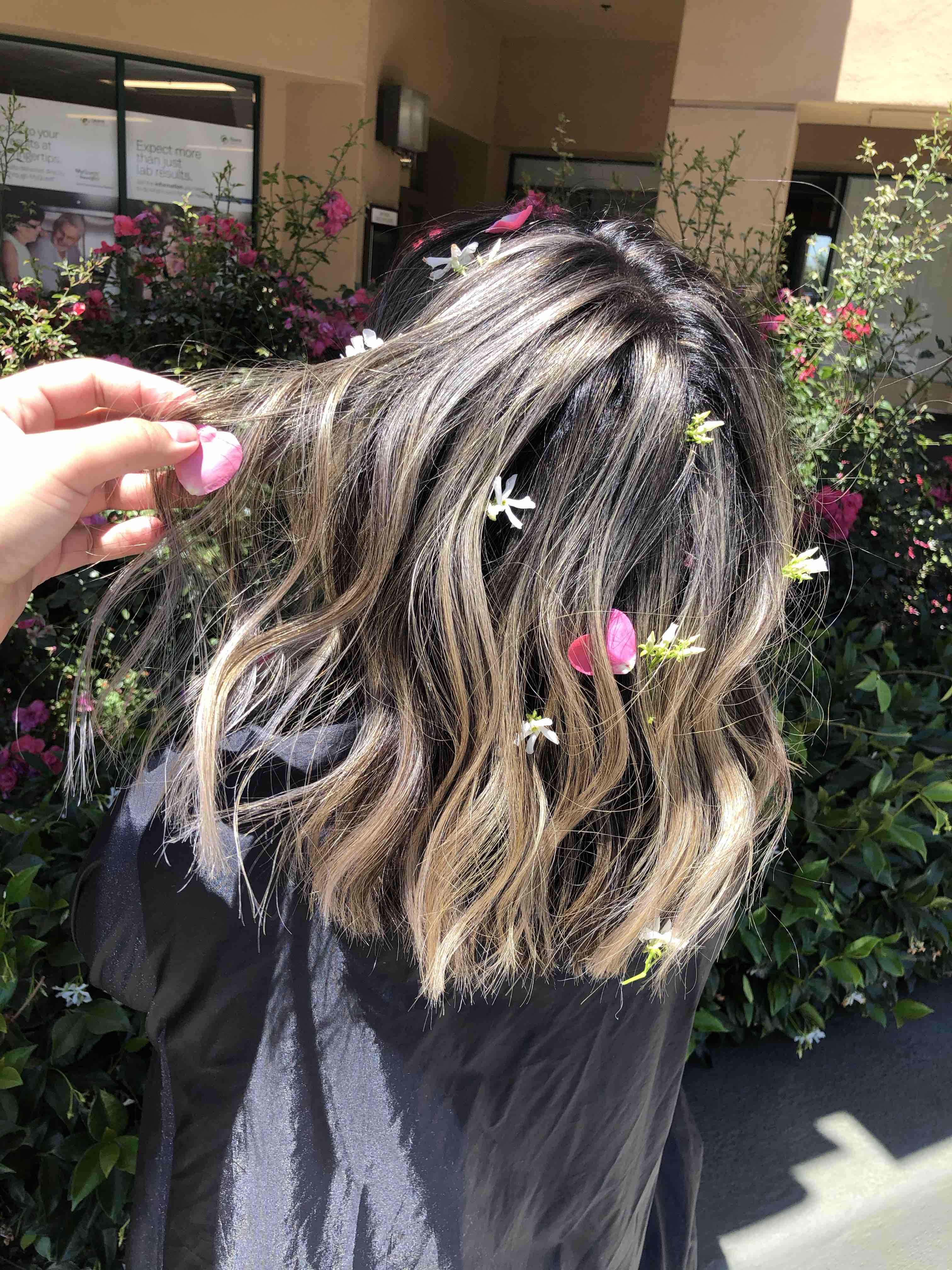 Color Correction🌿