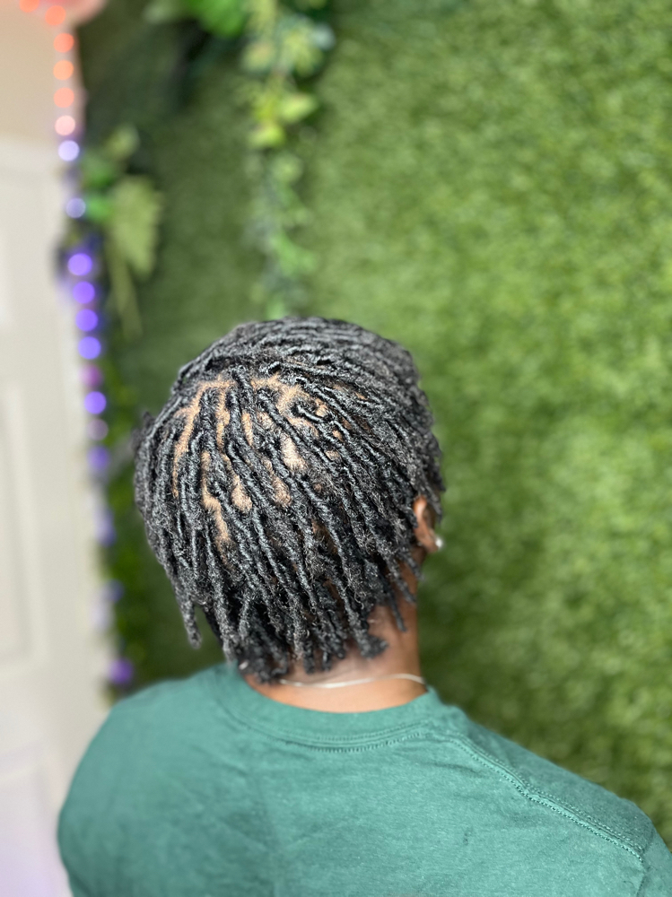 Starter Locs