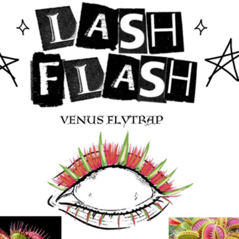 VENUS FLY TRAP LASH FLASH at Taylor Joy Artistry in Canton, OH