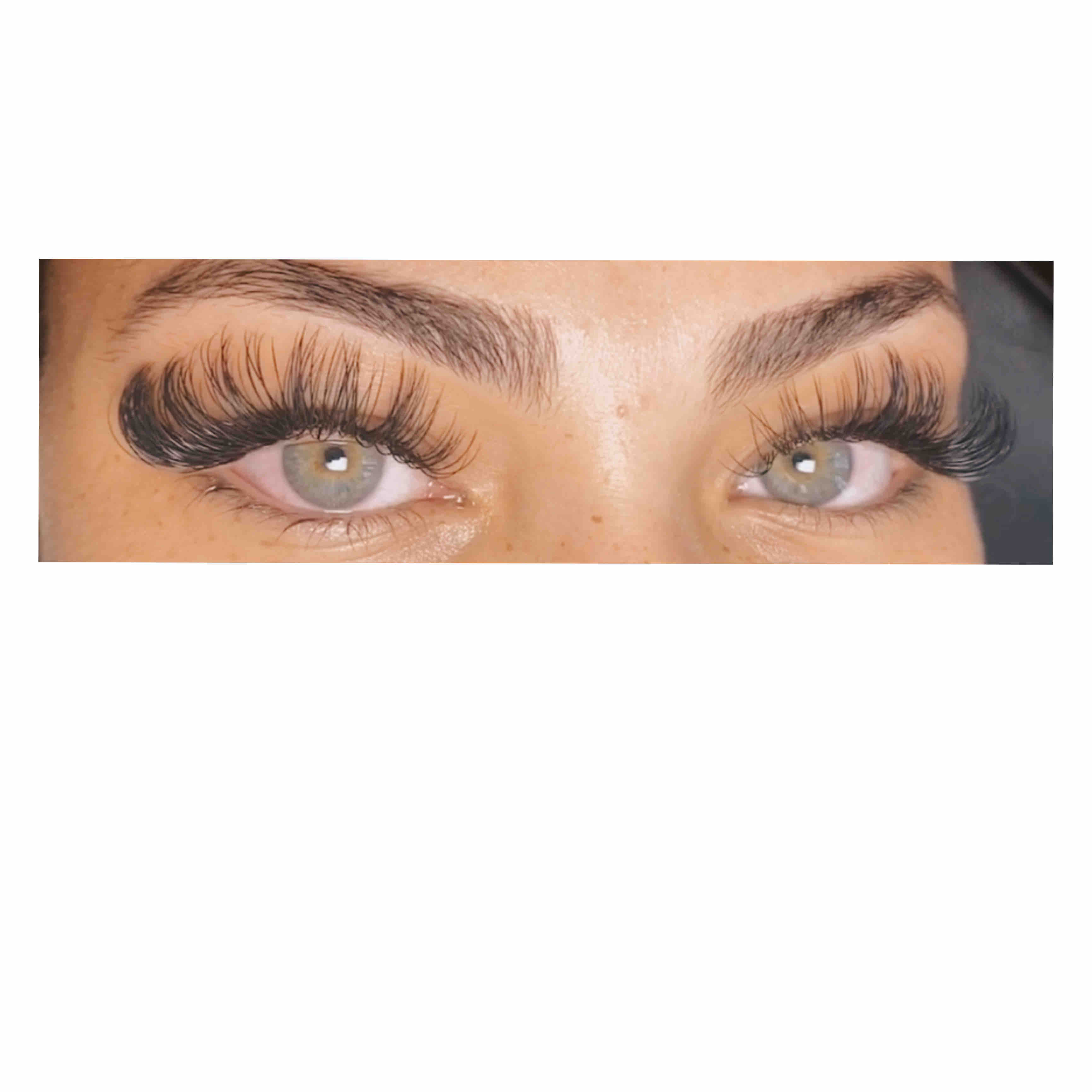 Classic Eyelash Extensions XL