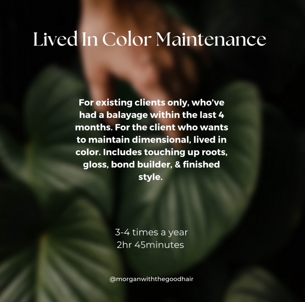 Lived in Color Maintenance