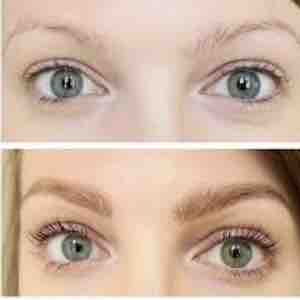 Brow Tint/Lash Lift/Tint