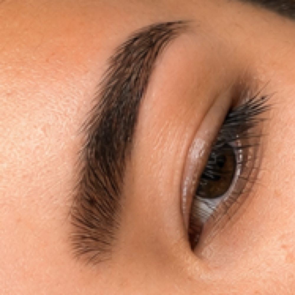 Brow Shaping with Tint at Looks By Lily L.L.C. in Middleburg, FL