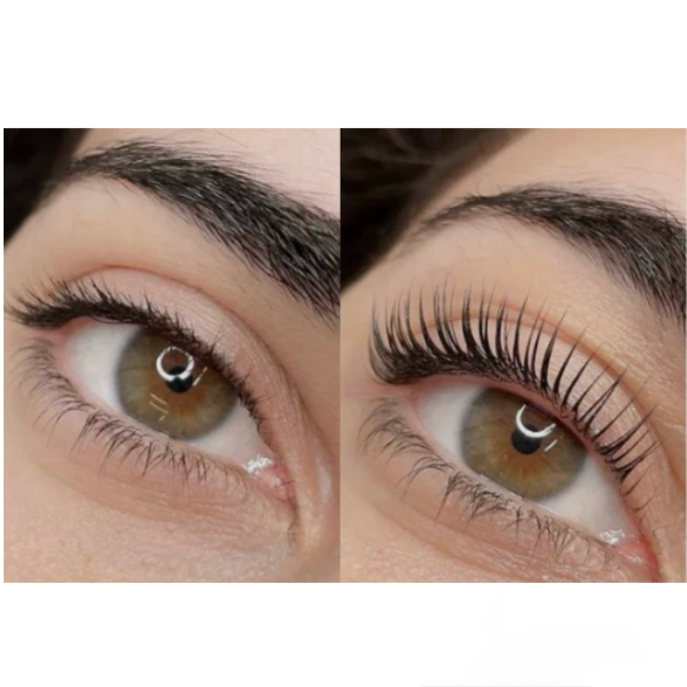 Lash Lift & Tint