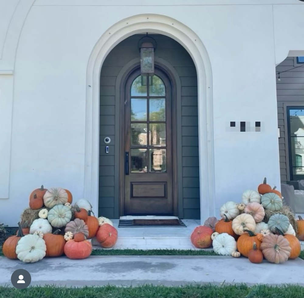 Princess Pumpkin Package