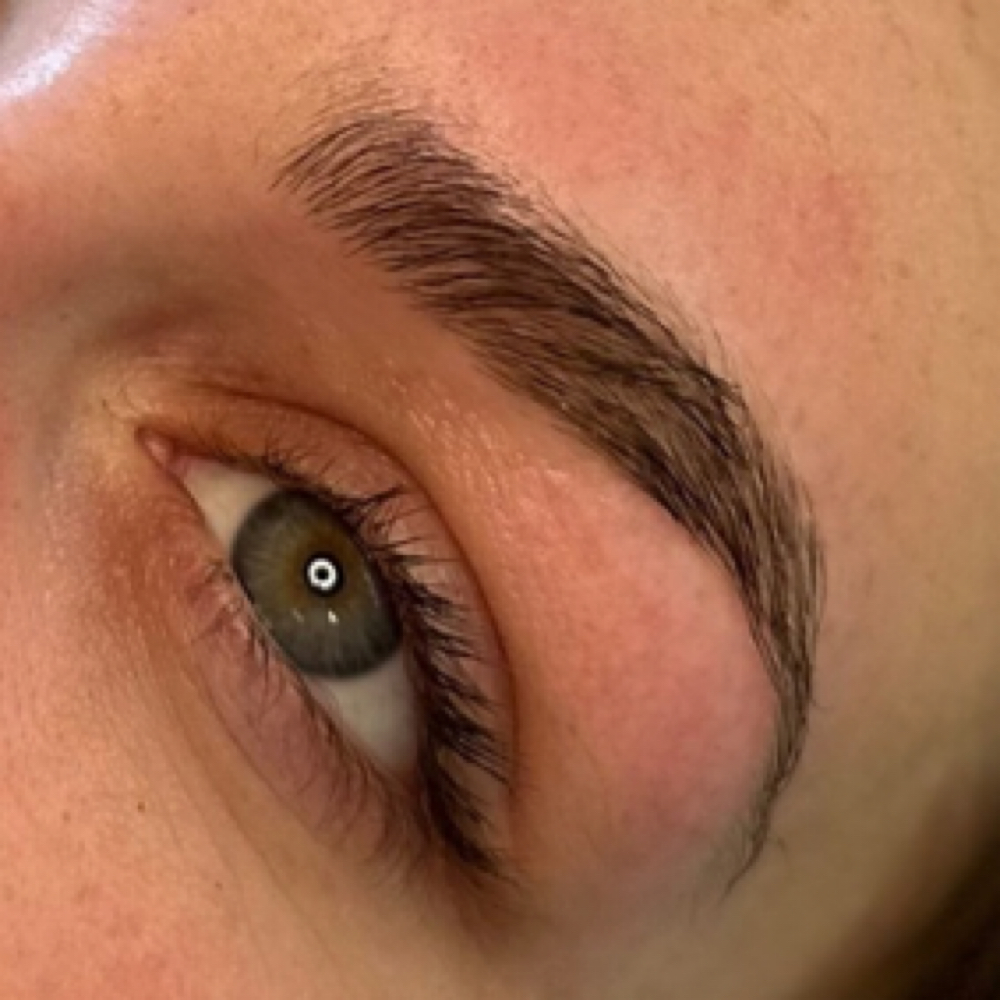 Eyebrow Wax at Darisa Beauty & Care in Flagstaff, AZ