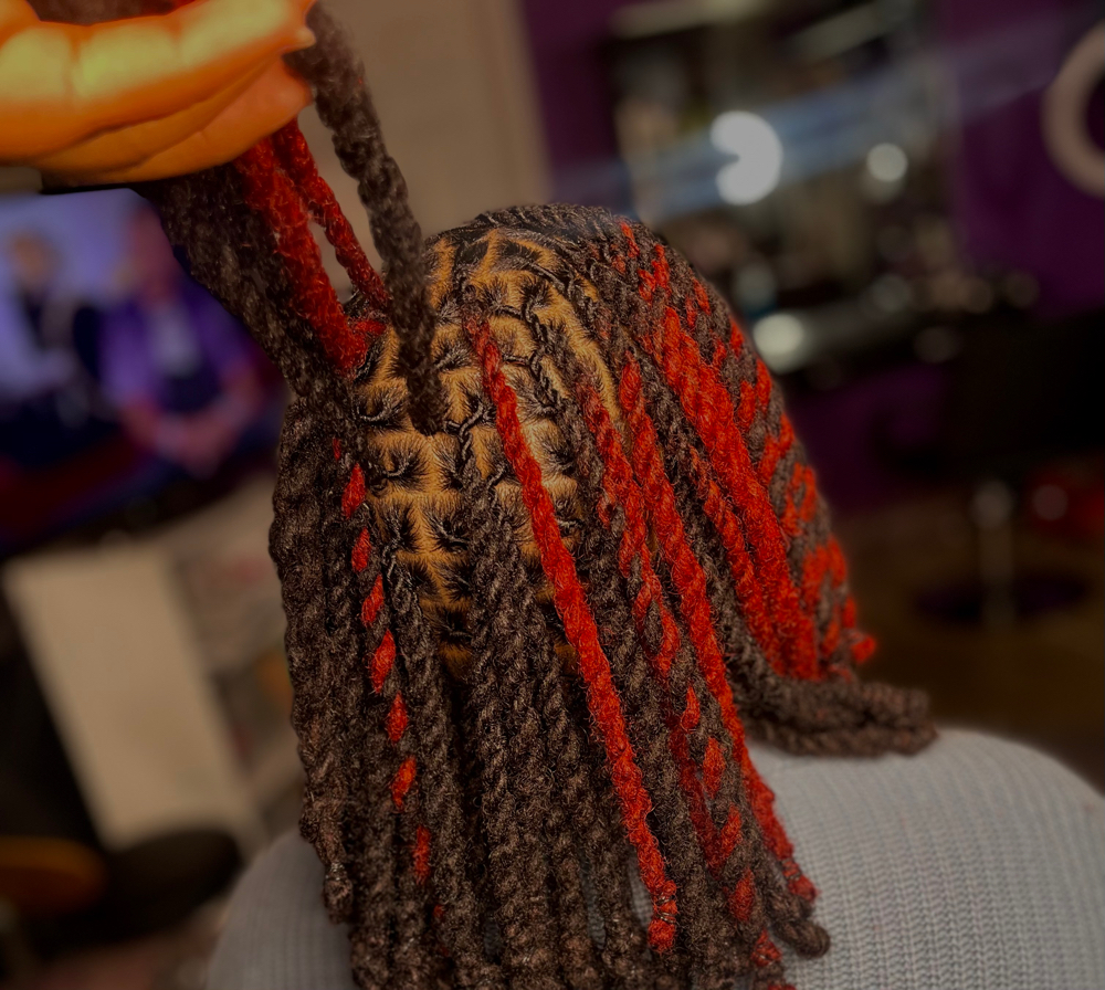 Wash + style + 2strand