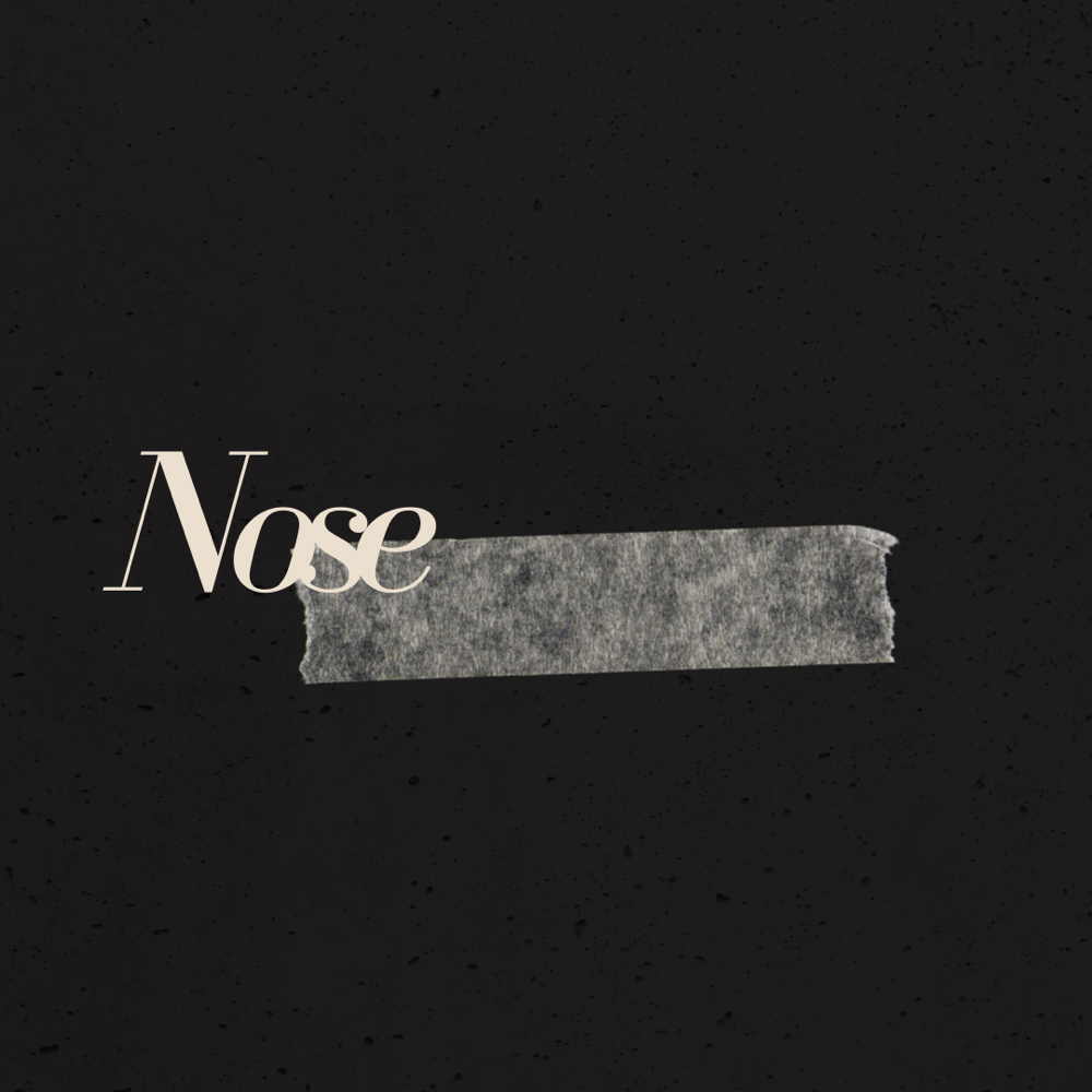 Nose