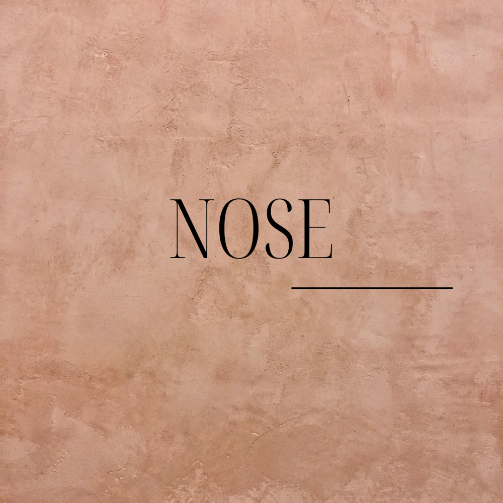 Nose