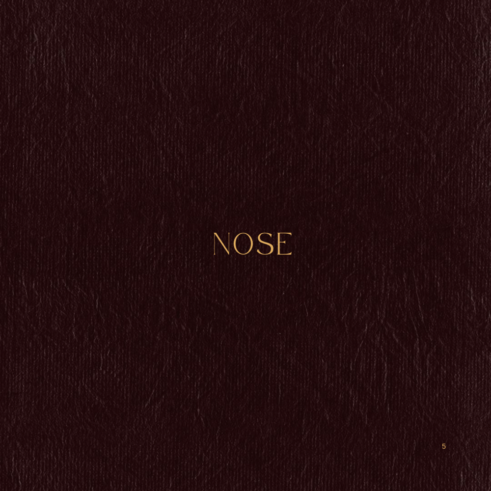 Nose