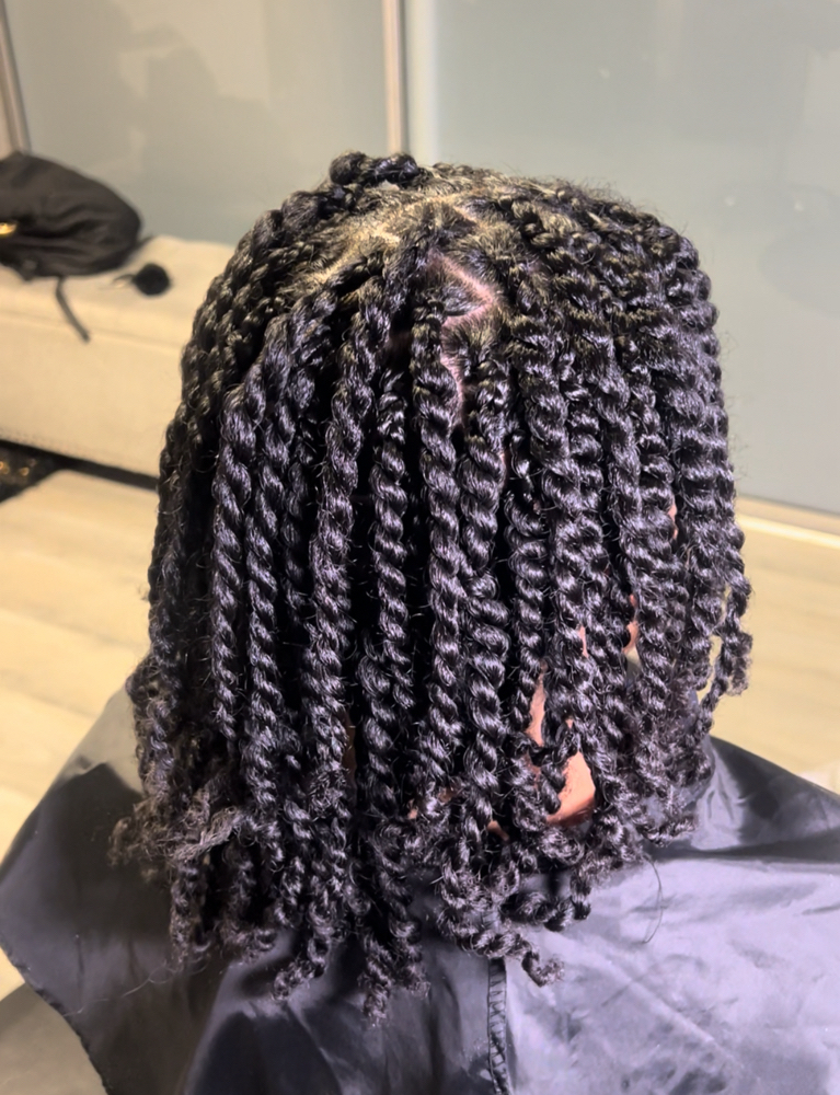 Two Stand Twist Natural Hair