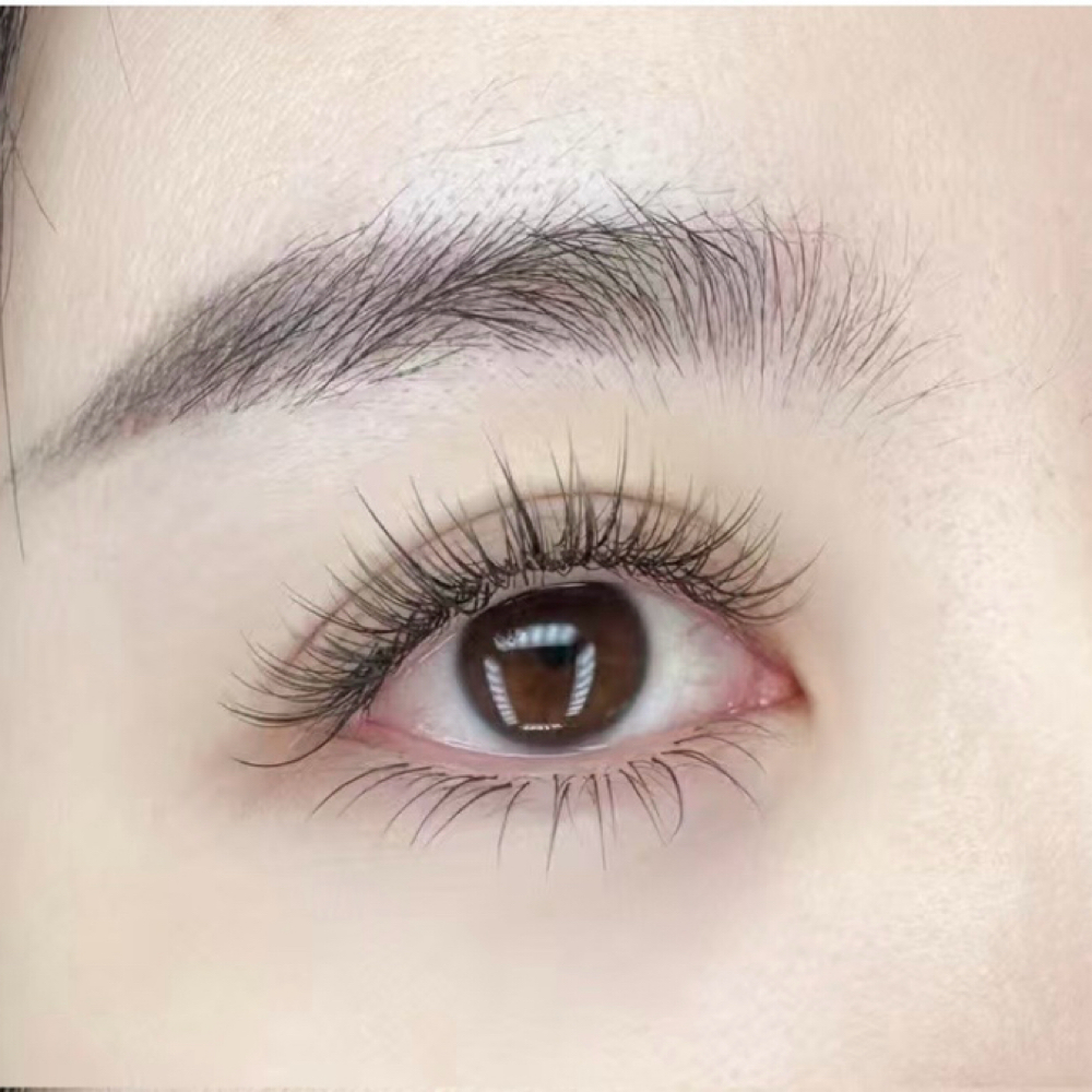 Wispy Single Lash Set at Lana Beauty in Sunnyvale, CA