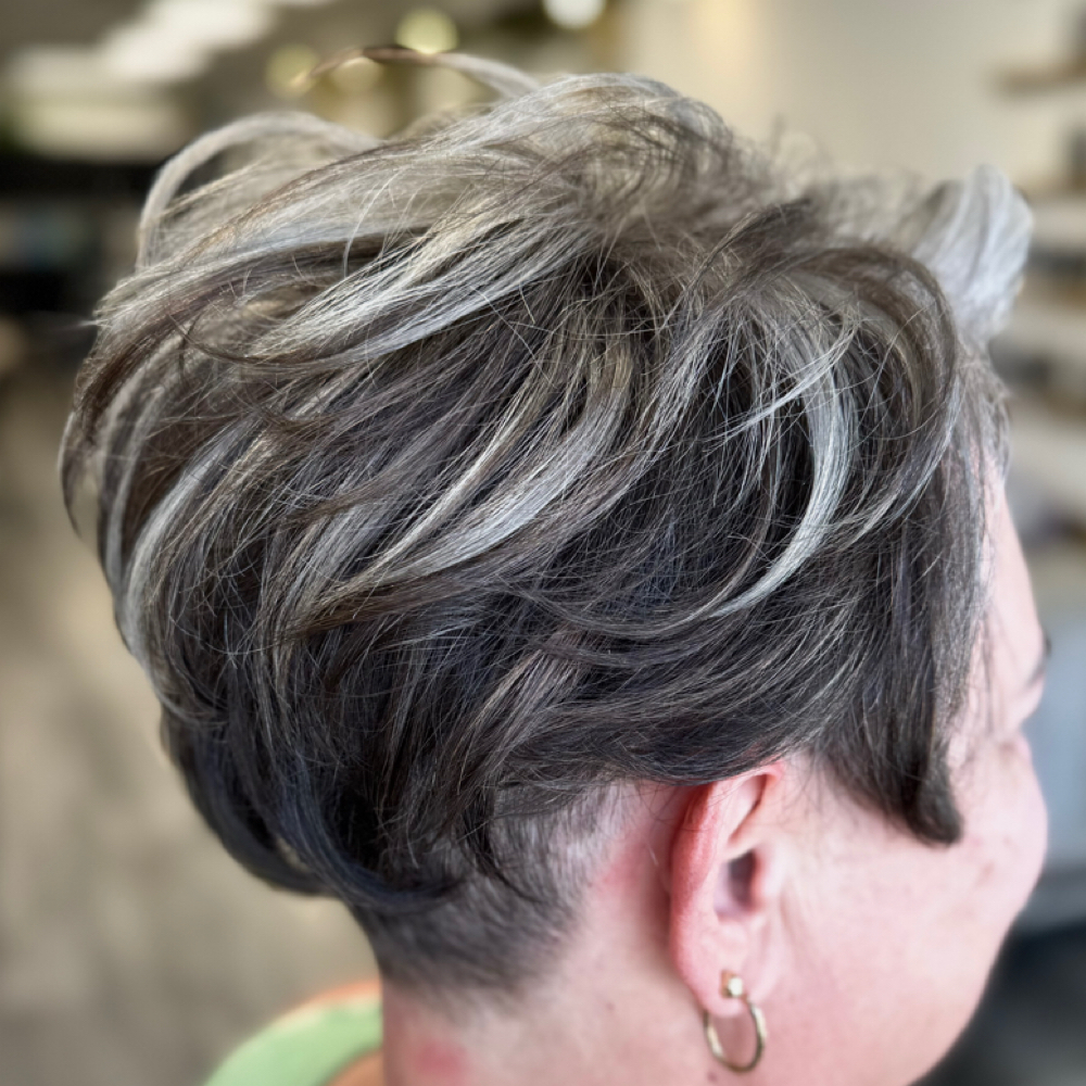 Blow Out Style Short at Sarah Holtz in Olney, IL