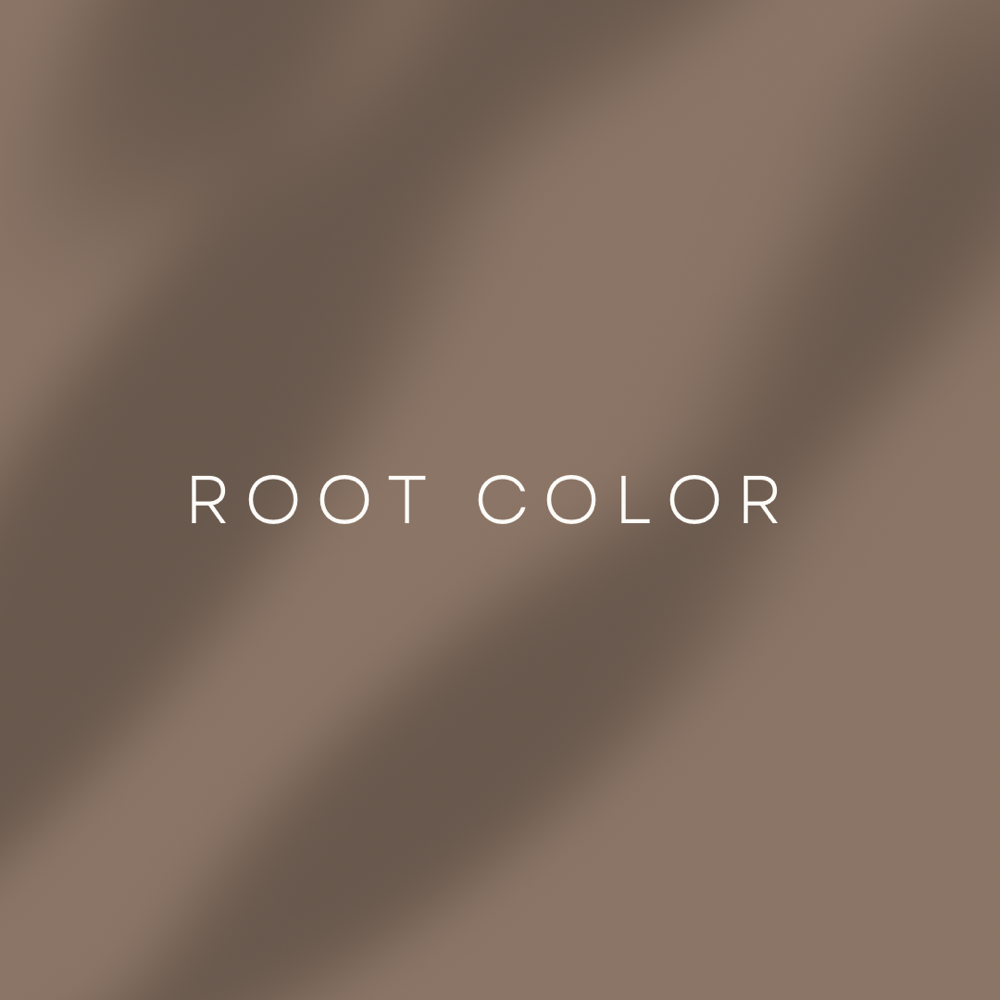 Root Touch Up (No Highlights)