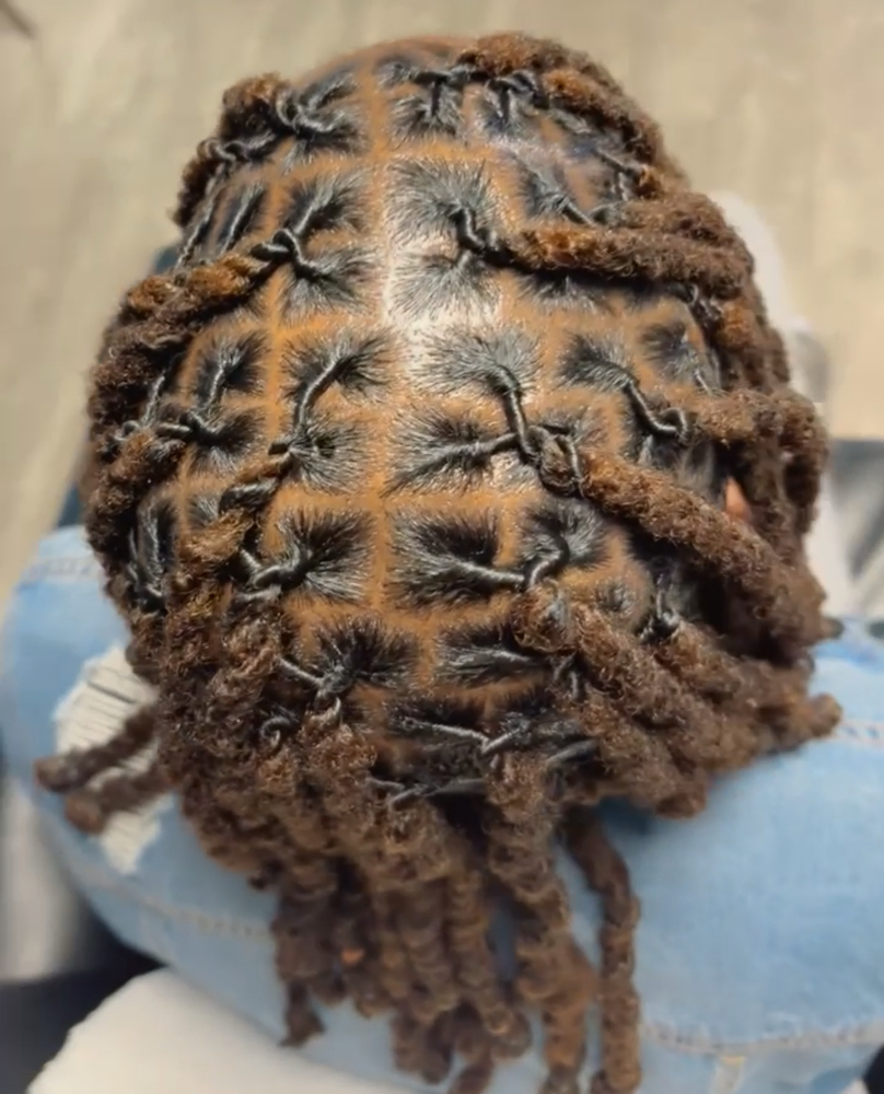 2-3 Strands/Plaits