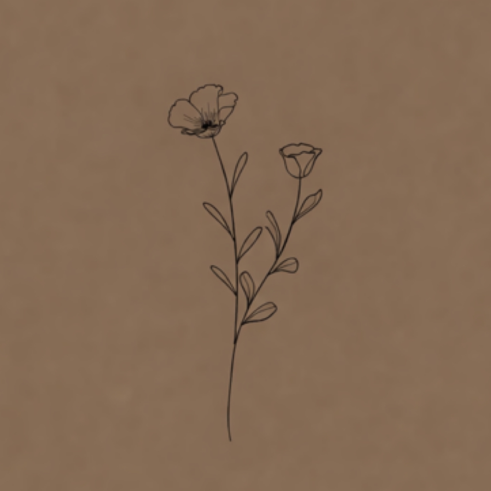 Classic 2wk Fill at Beauty Building in Webster, NY