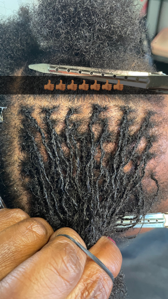 Sisterlocks ™️ Establishment