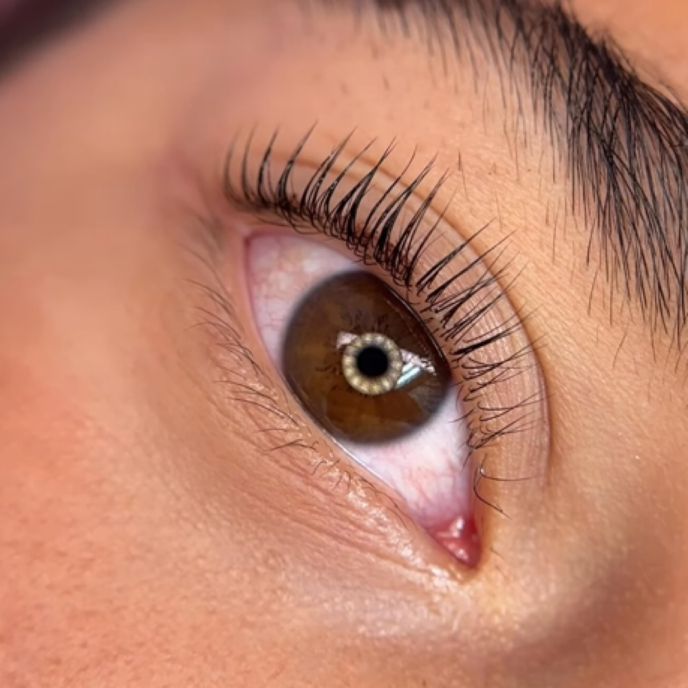 Korean Lash Lift & Tint at Lash Co. in Spring Hill, FL