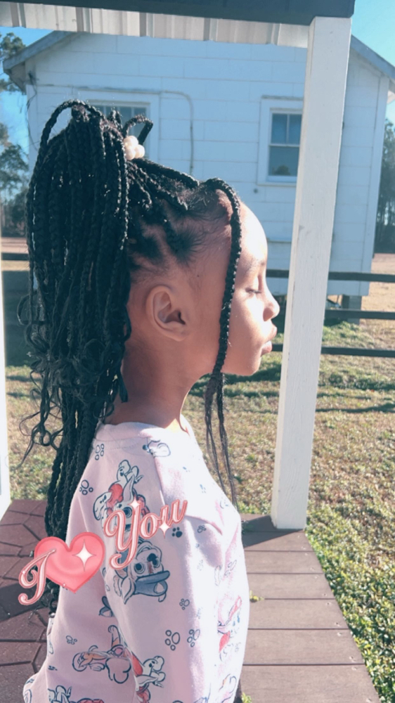Small Kids Box Braids With Hair