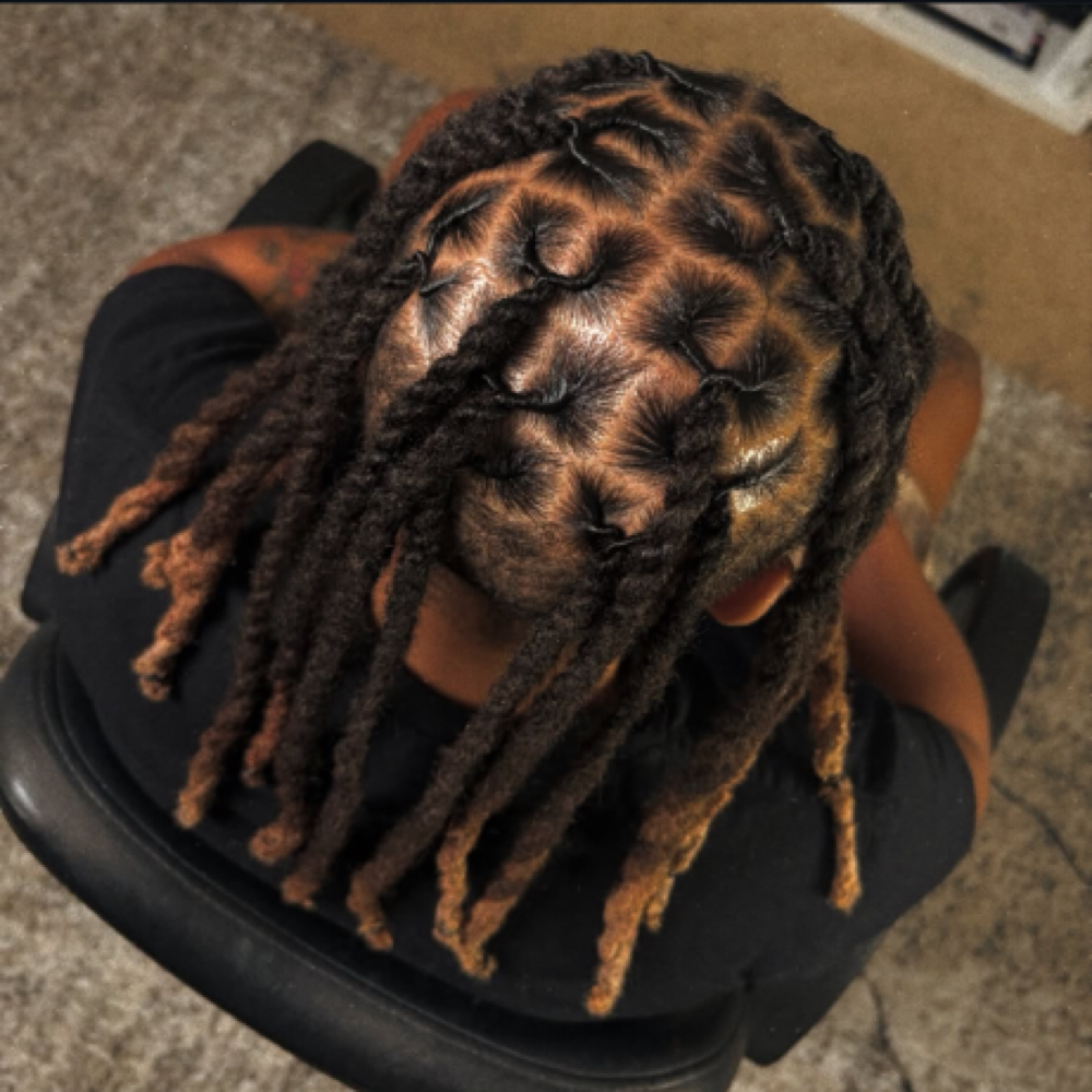 Loc Retwist at The Arie Beauty Bar in Sacramento, CA