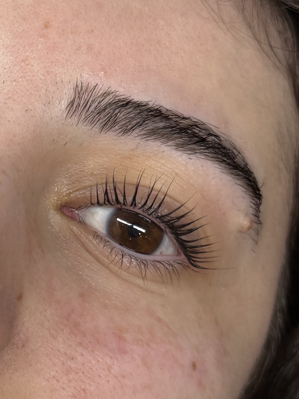Lash Lift and Tint