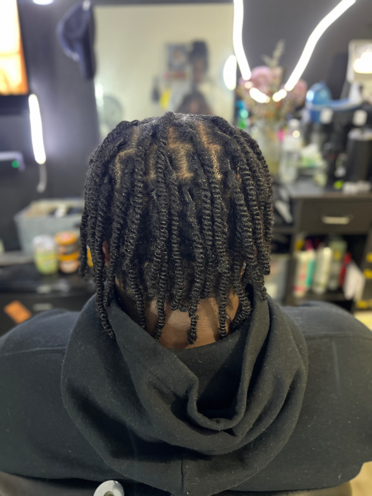 Two Strand Twist W/hair Short