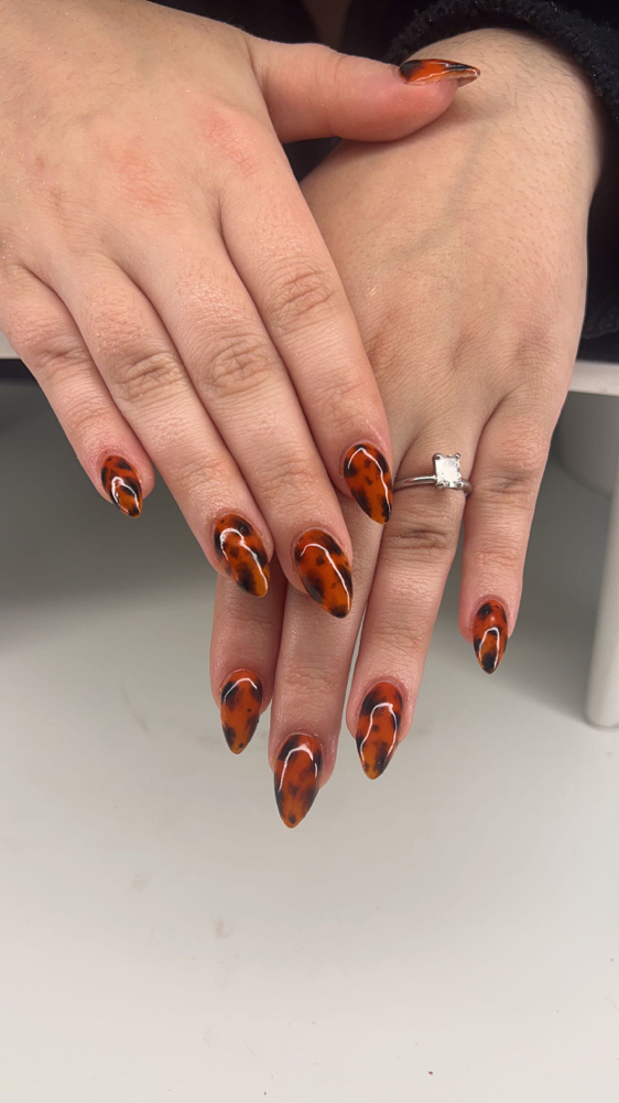 Medium Full Set
