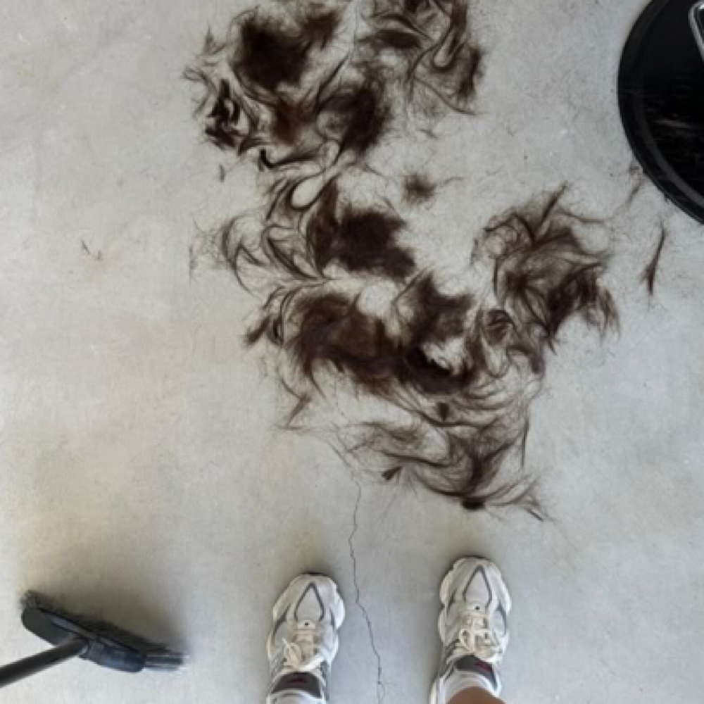 Women's Haircut + Style at Mad Babez Hair in Westlake Village, CA