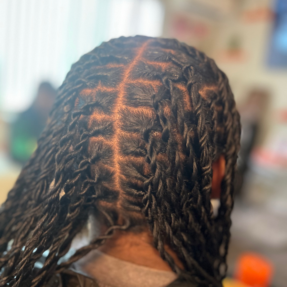 Starter Locs at Twisted-Tranquility in Stockton, CA
