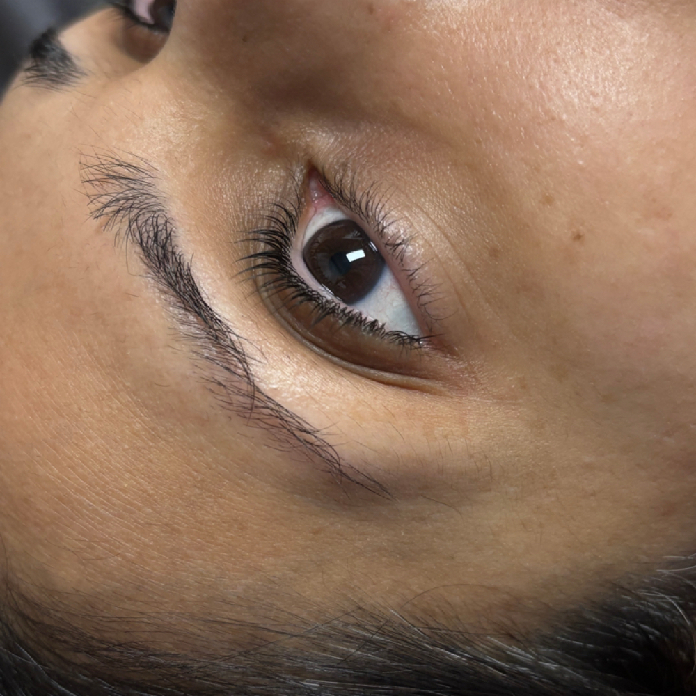Removal at Groovy Lash in Allen, TX
