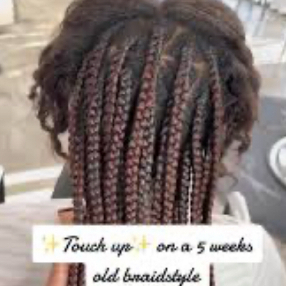 Braids/ Soft Loc Touch Up at Queen B Braiding Salon in Appleton, WI