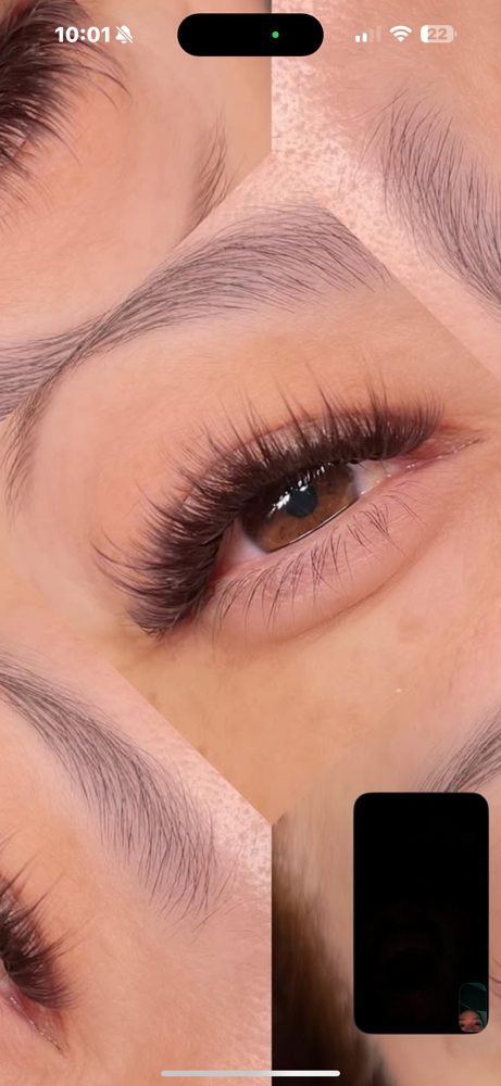 Brown Volume Wisp🤎