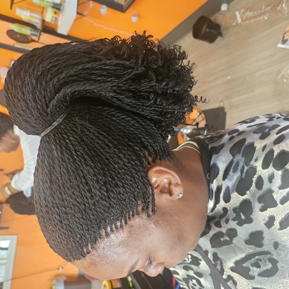 Senegalese Twist (Sm) at Eunice  Aka in Duncanville, TX