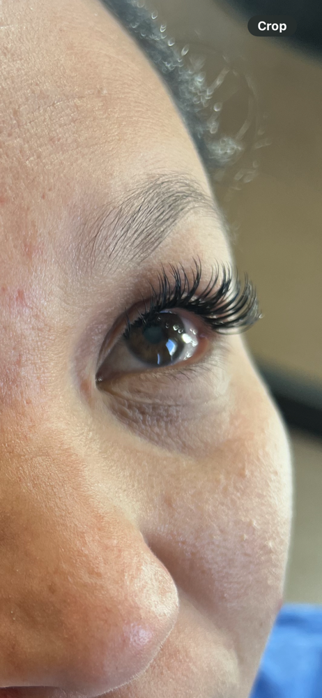 Classic Lash set