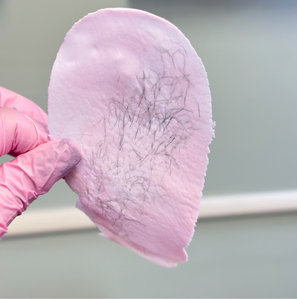 Waxing - Brazilian (Women Only) at Be You Beauty - Esthetics LLC in Tucson, AZ