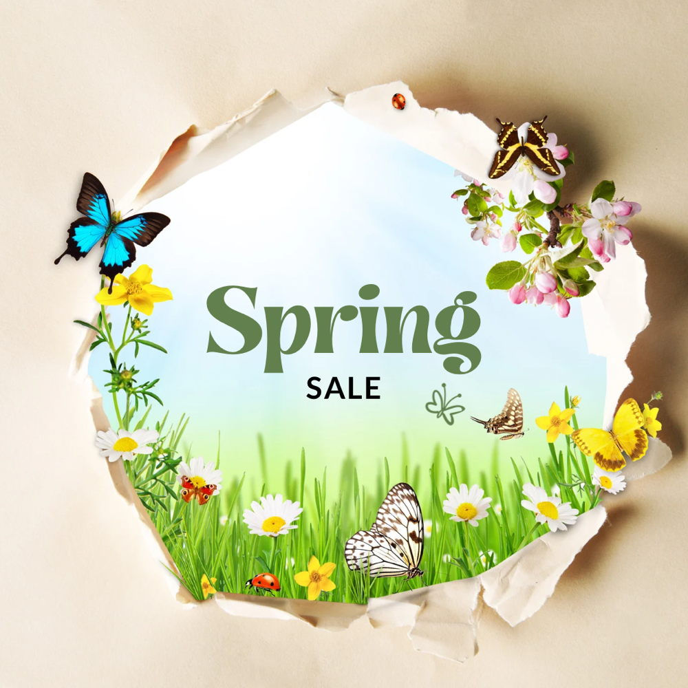 Spring Promotions 🌷🌼