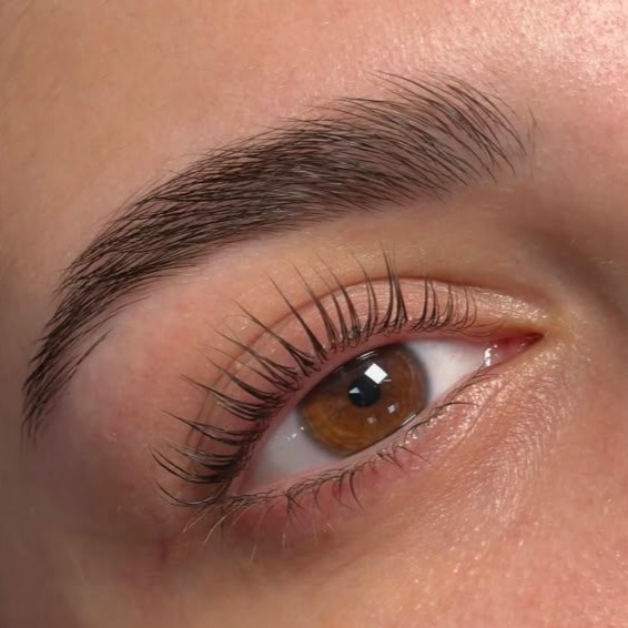 Brow Shaping at Yaz The Beauty Pro in Chicago, IL