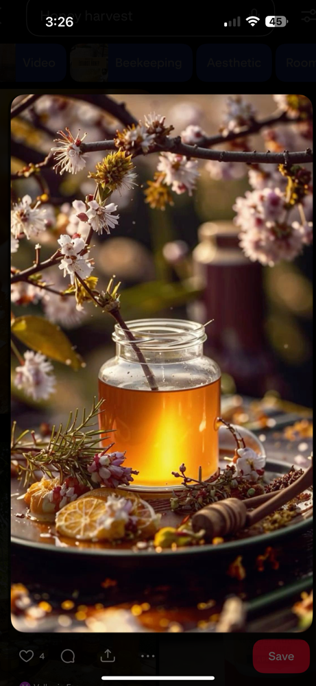 Honey Harvest 🍯