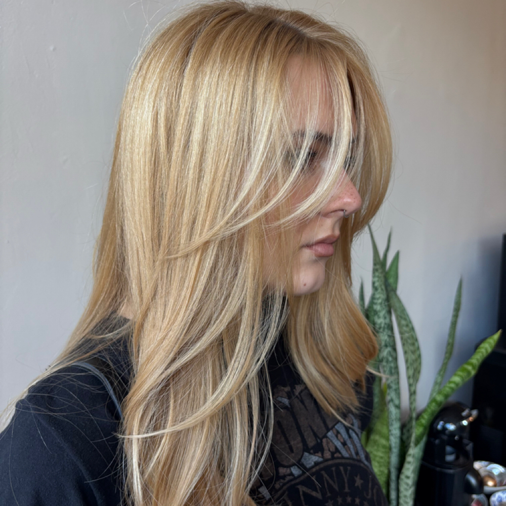 Full Highlight at Kate Havens in Sandston, VA