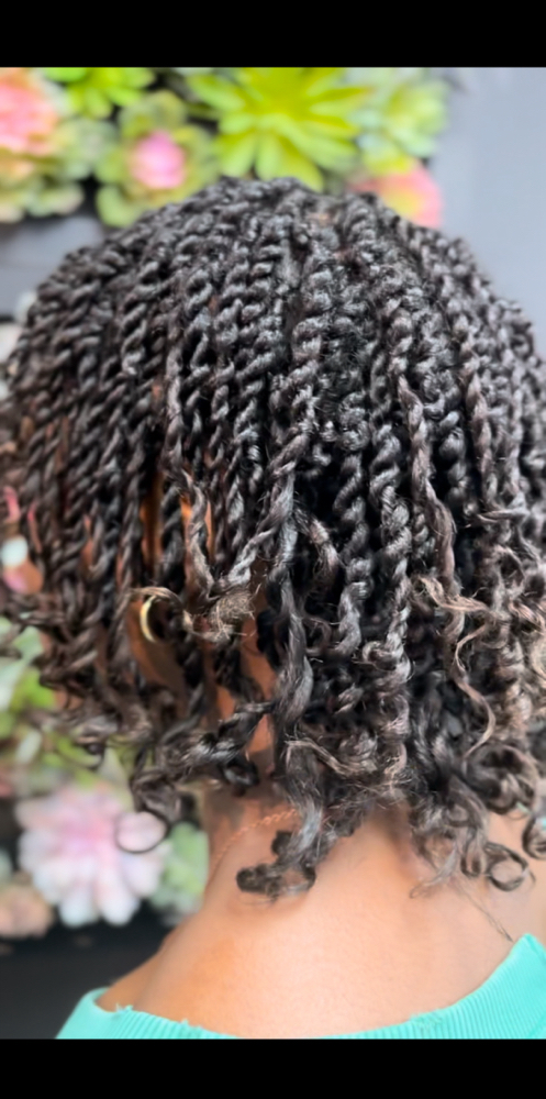 Two Strand Twists (unlocked Hair)
