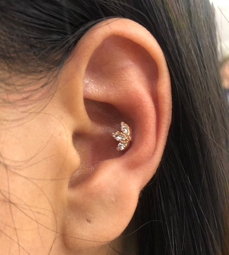 Conch Piercing at Makenzie/Serpent & Sage in Watertown, NY