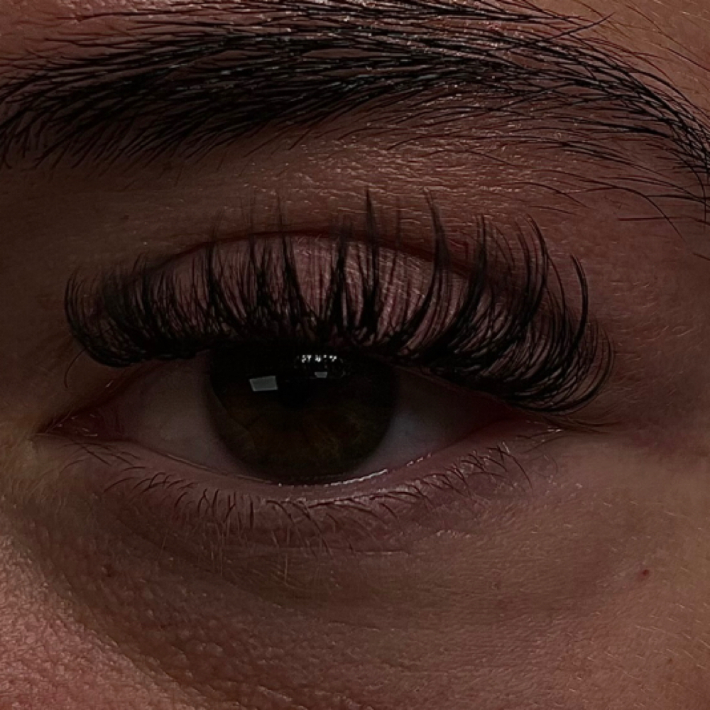 Lash Fill In at Salon Niche in Knoxville, TN
